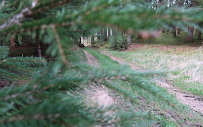 Graveln im Ostallgäu
